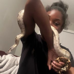 Meet your Posher, Cotton